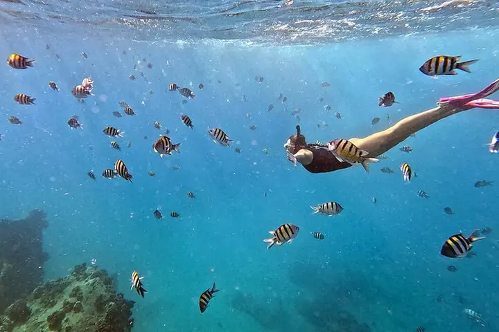 Kona Snorkeling Adventure Open Charter - Primary Image