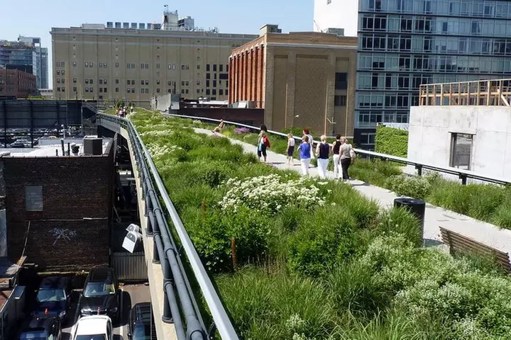 High Line and Hudson Yards Private Walking Tour - Primary Image