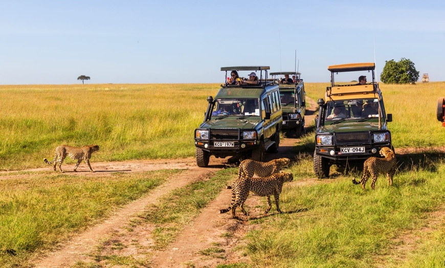 Image 9: ✈ KENYA | Nairobi to Mombasa - Safari au Masai Mara & extension à W...