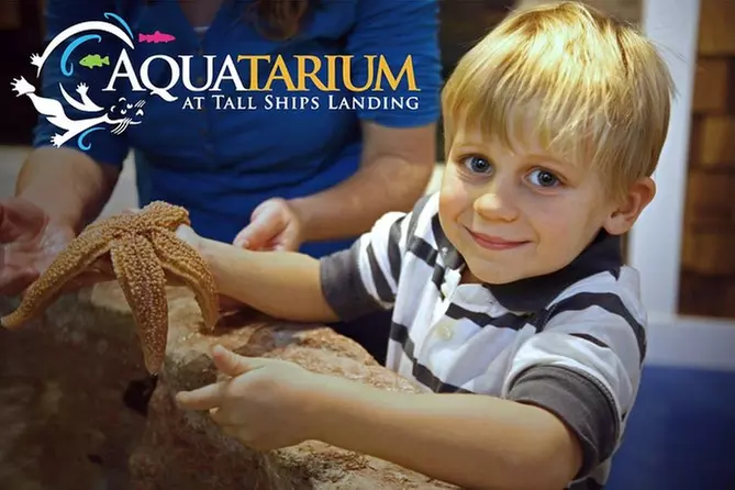 1000 Islands Discovery Package (90-minute cruise & admission to 'Aquatarium') - Primary Image
