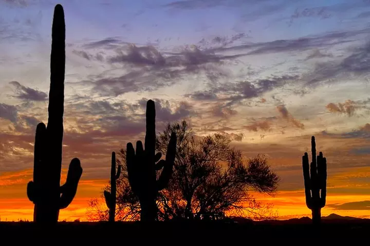 Sonoran Desert Jeep Tour at Sunset
