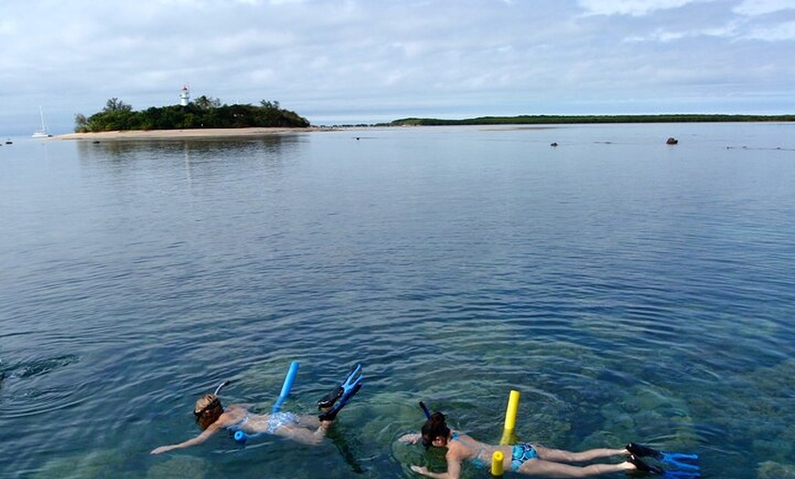 Image 2: 2 1/4 hr Low Isles Reef Sprinter Snorkelling Tour