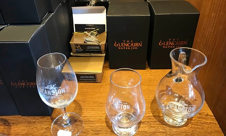 Image 9: The Highland Cows Experience in Scotland