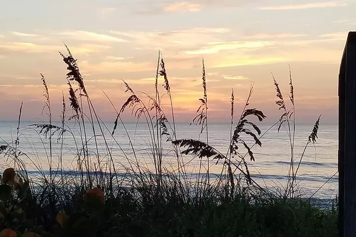 One Hour Surf Lesson with Experienced Instructor
