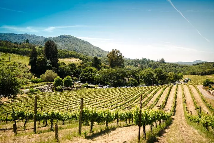 Napa and Sonoma Wine Country Full-Day Tour from San Francisco