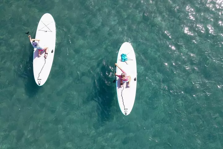 2h de clase de Paddle Surf en Gran Canaria