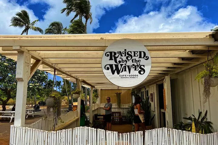 Oahu Island Experience feat the North Shore (Small Group Tour)