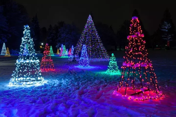 Winter Festival of Lights Walking Tour in Niagara - Primary Image