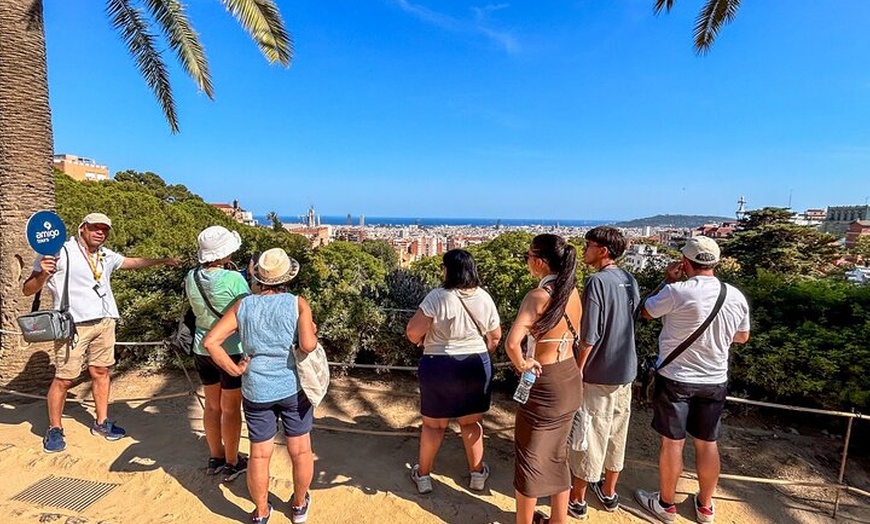 Image 11: Tour por la tarde del Park Güell
