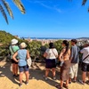 Image 11: Tour por la tarde del Park Güell