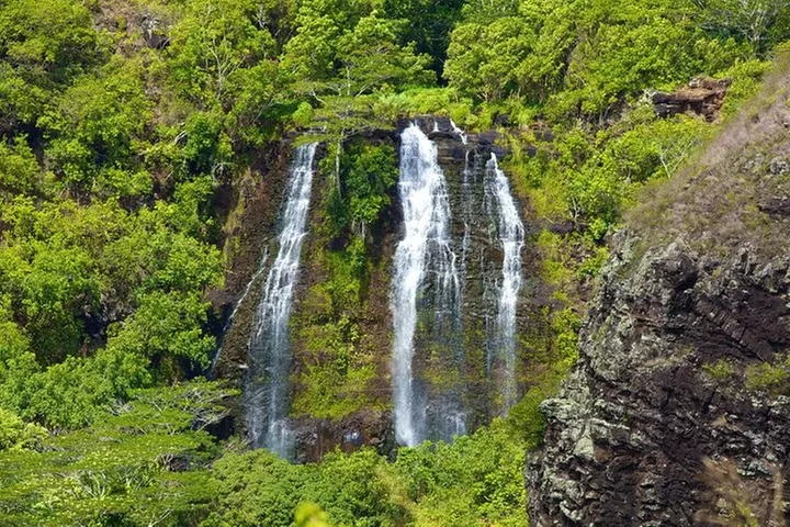 Best Kauai Northeast, Fern Grotto River Cruise & Lighthouse Tour