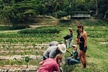 Kualoa Ranch: Malama Experience Tour - Second Medium