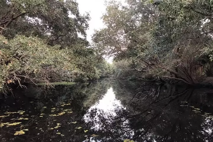 2 Hours Boat Tour in Louisiana Bayous Near New Orleans