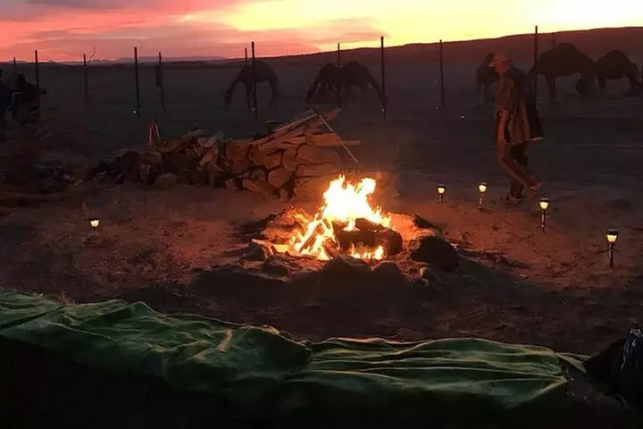 Las Vegas: Sunset VIP Camel Safari Tour Experience - Second Medium