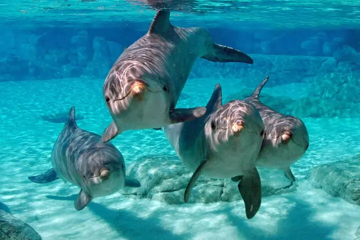 MIAMI: Key West Day Trip with Boating Options