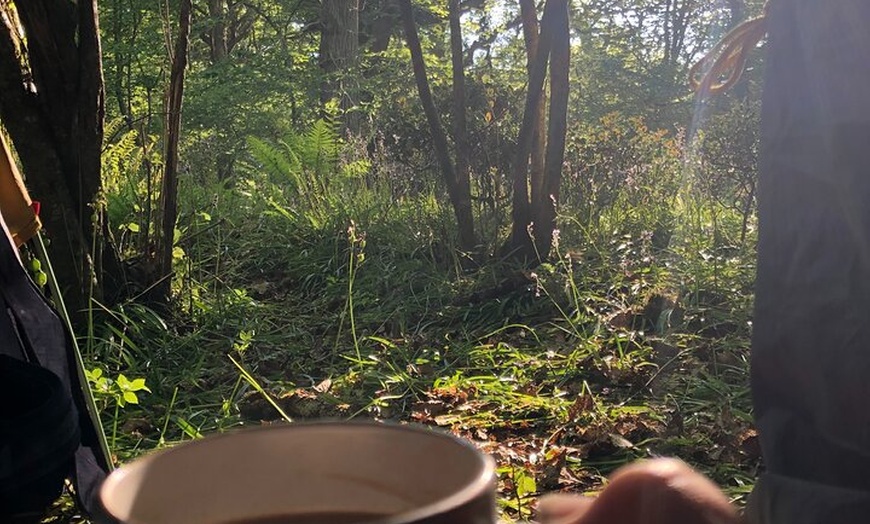 Image 15: Pack Pony Wild Camping in Ancient Woodland, Dorset