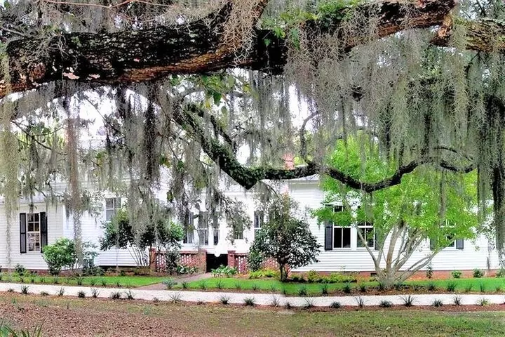 Hilton Head Honey Horn Admission with Guided Tour - Primary Image