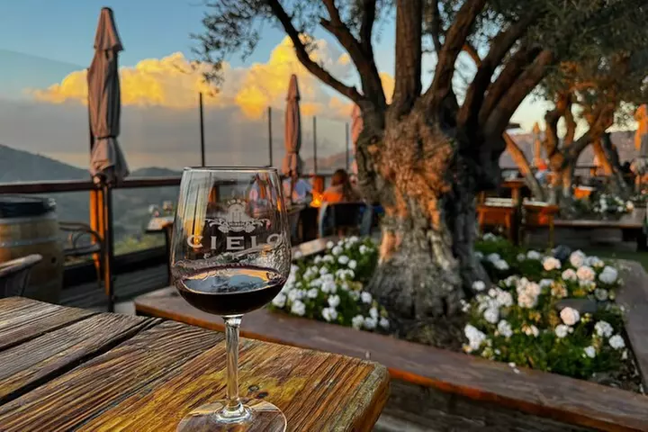 Half Day Private Wine Tasting Tour in Malibu - Primary Image