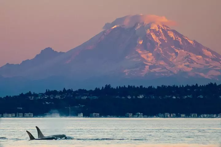 Seattle's Sunset Sail - BYOB! - Second Medium
