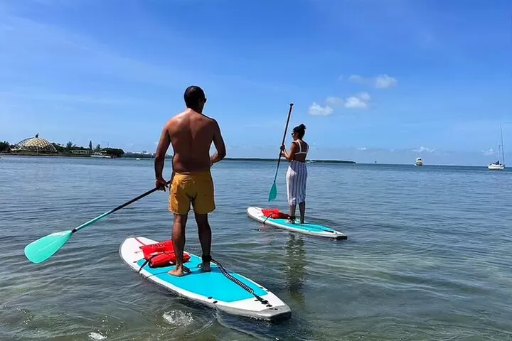 Miami Kayak and Paddleboard Rentals on Biscayne Bay - Second Medium