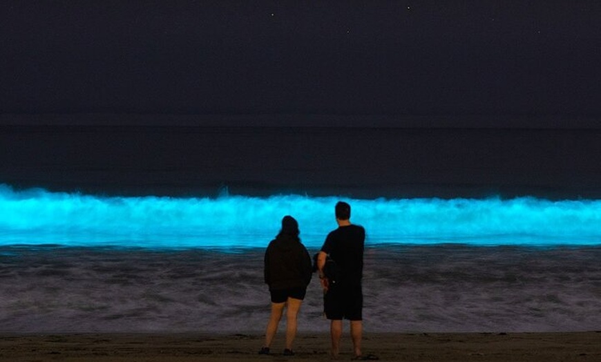 Image 3: Holbox Bioluminescence Private Tour by Golf Cart