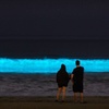 Image 3: Holbox Bioluminescence Private Tour by Golf Cart