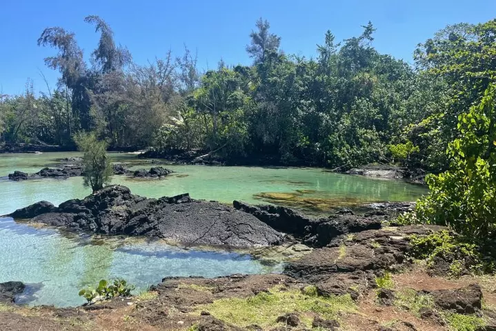 Beach Snorkel - Sea Turtle and Black Sand Lagoon