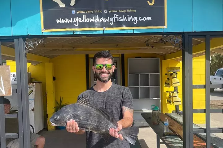 Kayak, paddle board, and fishing kayak rentals