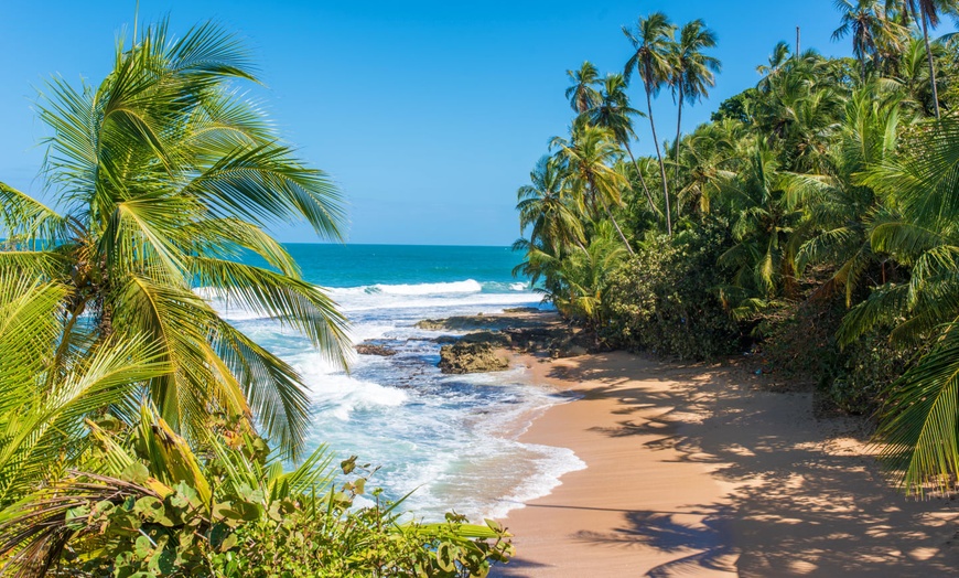 Image 7: ✈ COSTA RICA | De San José à Manuel Antonio - Entre Jungle, Plage E...