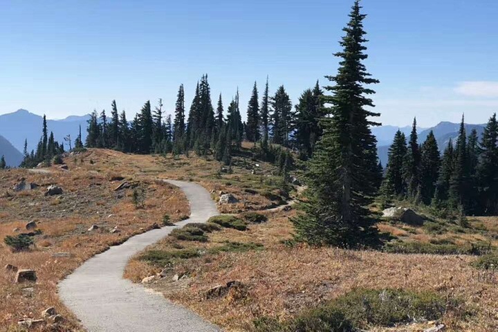 Small Group Mt Rainier National Park Day Tour from Seattle 2CanGo