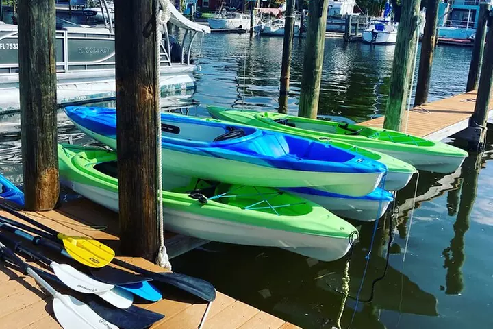 Half Day Kayak Rental to John's Pass Sandbar & Mangrove Tunnel