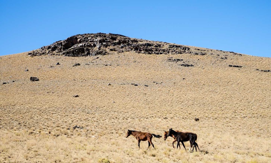 Image 23: ✈ OUZBÉKISTAN | Tashkent - Les essentiels de l'Ouzbékistan, 9 nuit ...
