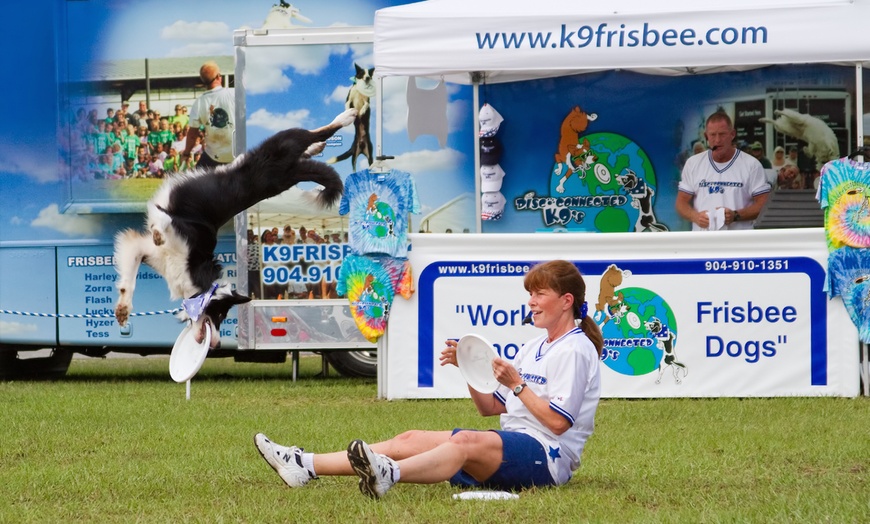 are dogs allowed at clay county fair