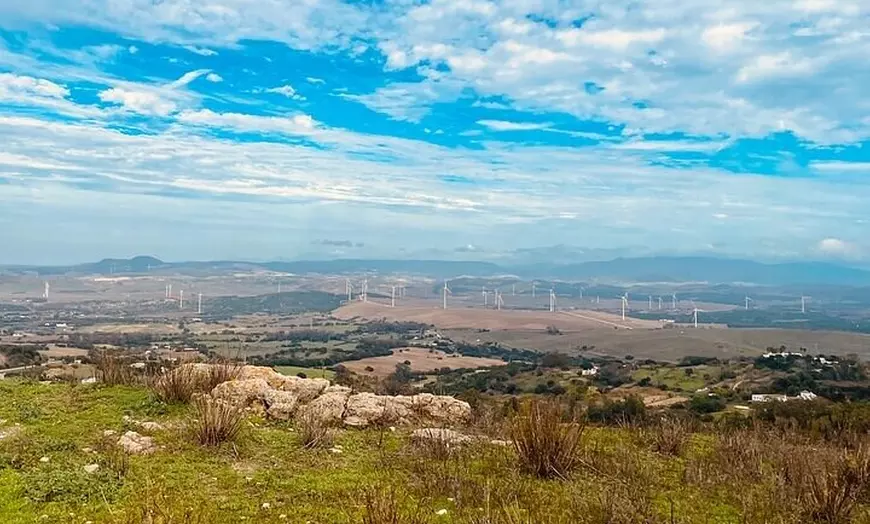 Image 31: Day trip privado a Arcos, Medina Sidonia y Vejer de la Frontera