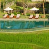 Image 2: ✈ BALI | Ubud - Alaya Resort Ubud 5*, 6 nuit - Premium