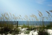 Scenic A1A Byway Self Guided Driving Audio Tour - Second Medium