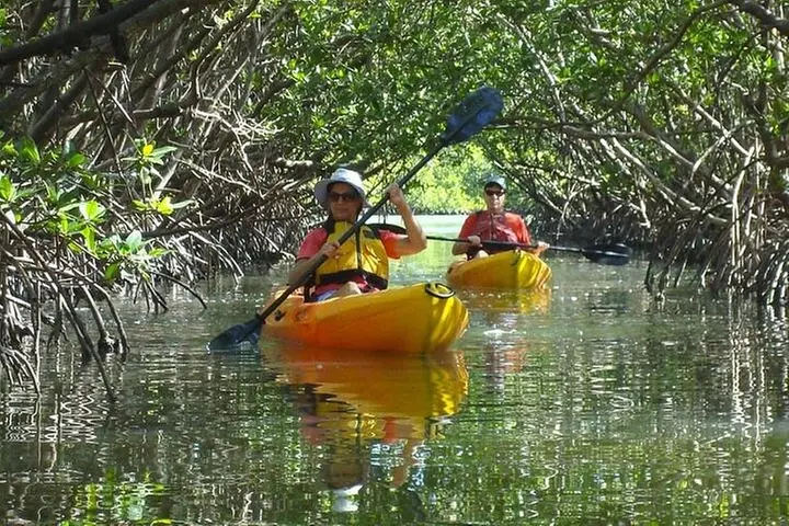 Half Day Kayak or SUP Rental (3hr) - Bunche Beach - Primary Image