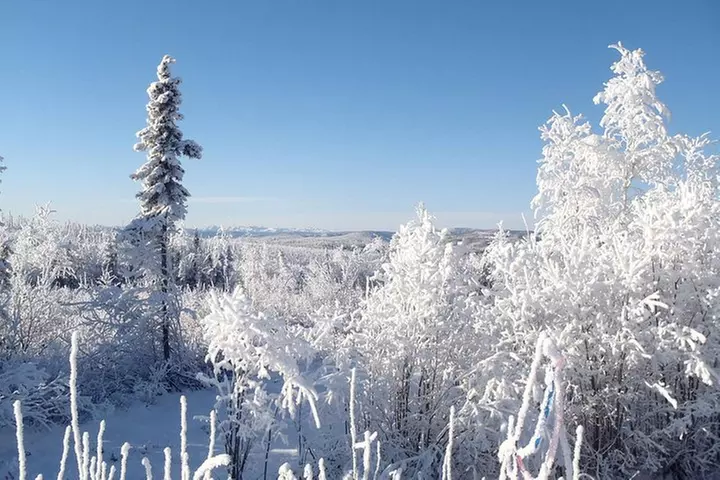 Arctic Circle and Northern Lights Tour from Fairbanks