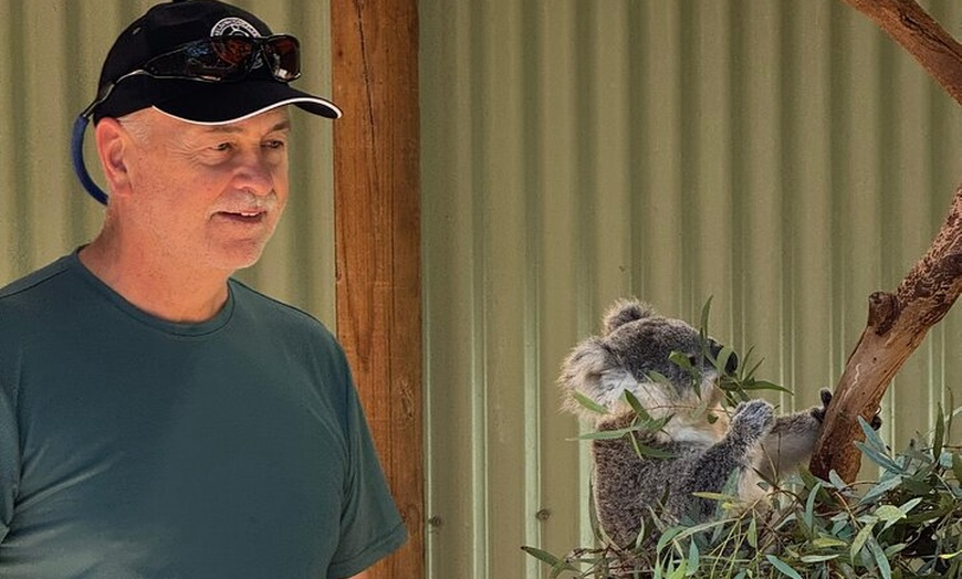 Image 3: PRIVATE Blue Mountains Scenic World Australian Wildlife & Cruise