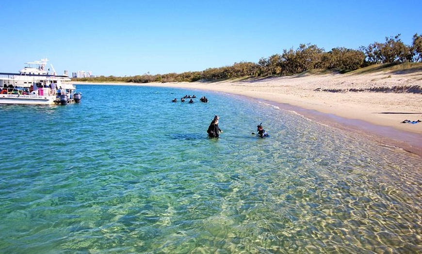 Image 21: Wave Break Island Snorkel Tour on the Gold Coast