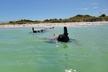 4-Hour St. Pete Pier to Egmont Key Experience by Ferry - Second Medium