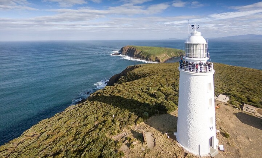 Image 7: Bruny Island Food, Sightseeing, Guided Lighthouse Tour & Lunch