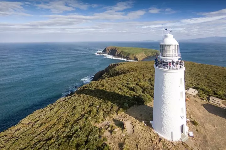 Bruny Island Food, Sightseeing, Guided Lighthouse Tour & Lunch