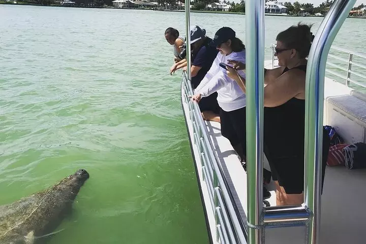 Marco Island Dolphin Sightseeing Tour