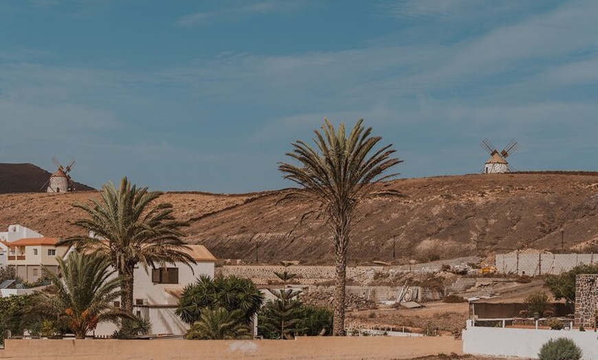 Image 35: Fuerteventura Norte - Excursión de 4 horas con salida desde Corralejo