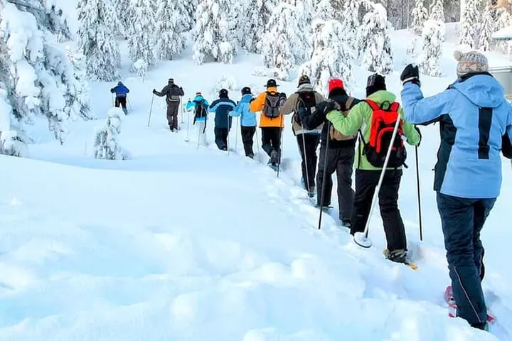 Albuquerque Snowshoe Experience