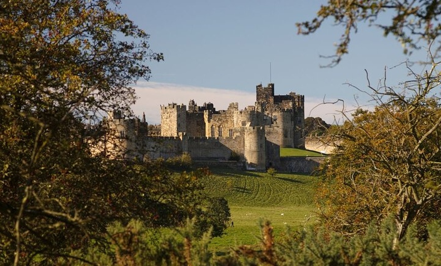 Image 4: Alnwick Castle and Rosslyn Chapel Day Tour from Edinburgh