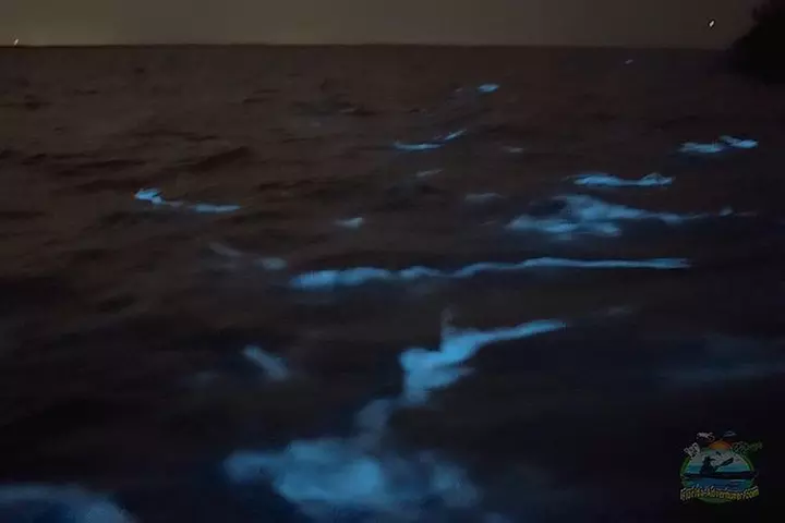 Florida Bioluminescence Clear Kayak tour/ Beacon 42 (Titusville)
