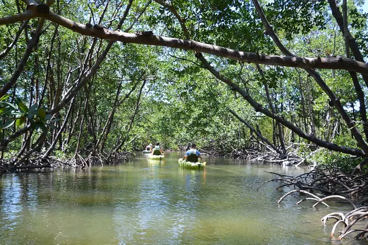 Exclusive Relax & Explore Pedal Kayak Tour Marco Island & Naples