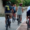 Image 7: Tour en bicicleta alrededor de Alicante